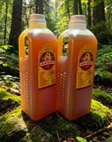 Premium 100% Pure Wild Dark Raw Honey | Free Shipping